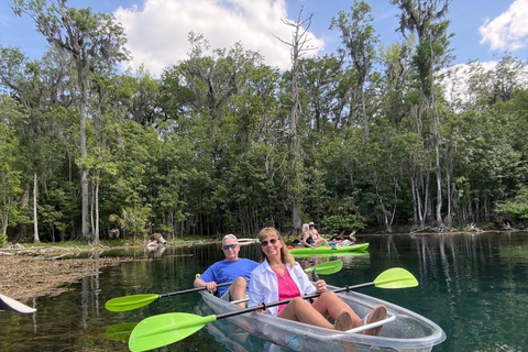 Rainbow Springs: Clear Kayak Rental Tandem Clear Kayak