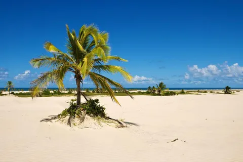 Aracaju: Tour a Mangue Seco