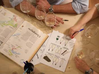 Siena: Experiencia de cata de vinos espumosos toscanos