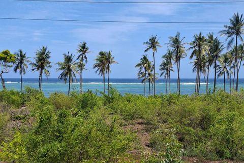 Mtwapa : Journée d&#039;excursion dans les ruines de Jumba et le village de brousse et dîner dans le village.