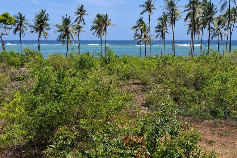 Mtwapa:JumbaRuins &amp; BushVillage Day Tour e jantar na aldeia.