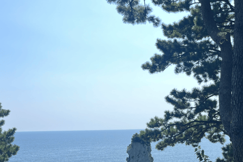 Jeju : visite privée personnalisée avec guide expert