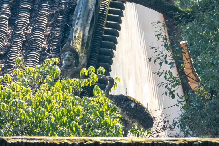 Hangzhou: West Lake Legends Walking Tour