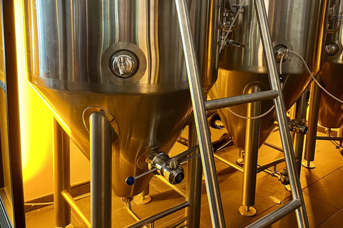 Munich : Visite guidée de la culture et de la bière artisanale avec collation