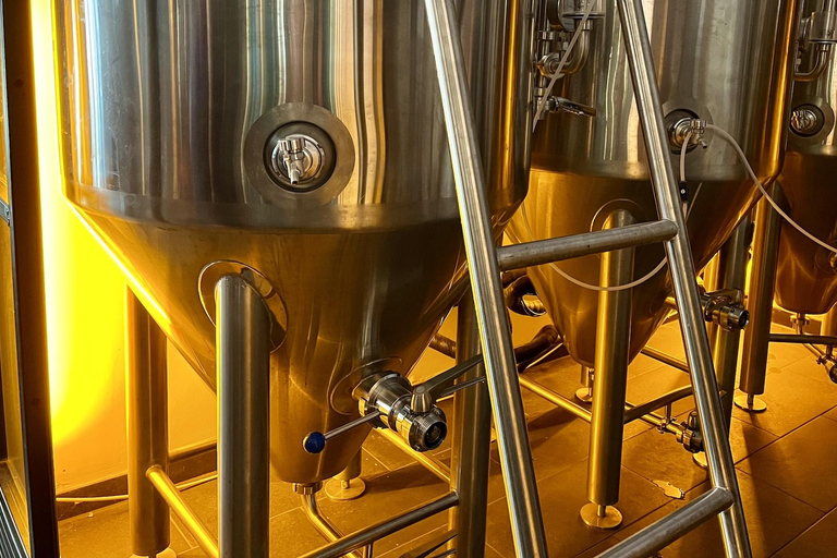 Munich : Visite guidée de la culture et de la bière artisanale avec collation