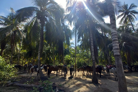 SANTAMARTA: TOUR Cabo San Juan Del Guia Derde sector van de Tayrona PNN.SANTAMARTA: TOUR Cabo San Juan Del Guia Derde Sector Van Tayrona Nationaal Park.