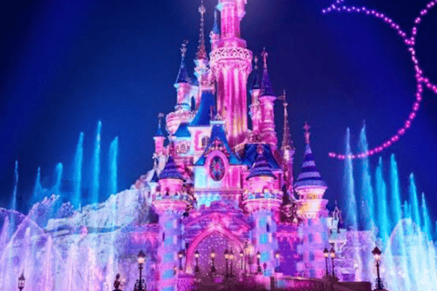 From Tokyo: Tokyo Disneyland Private Customized Tour