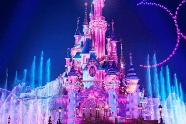 From Tokyo: Tokyo Disneyland Private Customized Tour