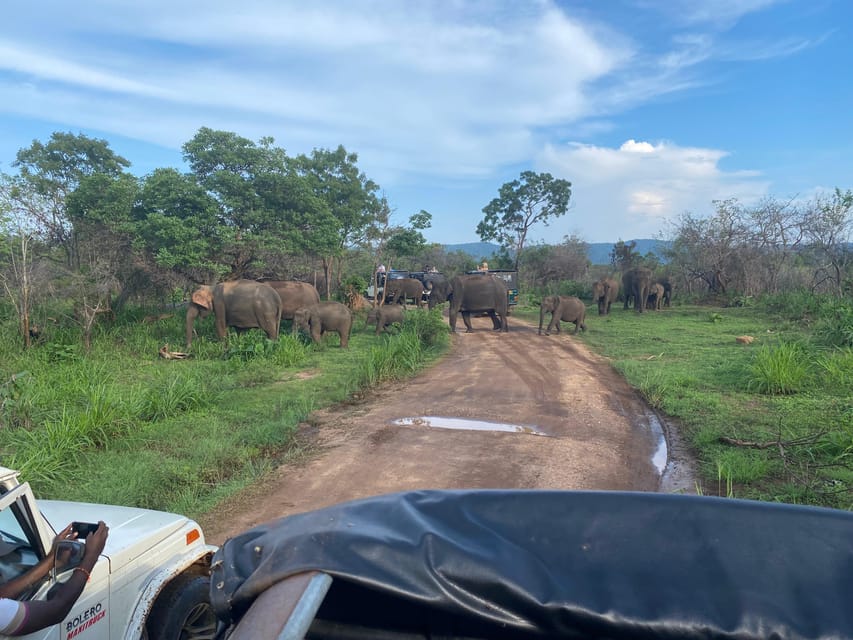 8 Daagse Rondreis Door De Prachtige Natuur Van Sri Lanka GetYourGuide