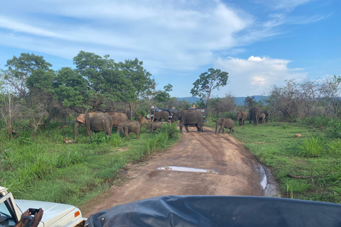 8 Tage Rundreise durch die wunderschöne Natur Sri Lankas