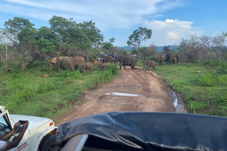 8 Tage Rundreise durch die wunderschöne Natur Sri Lankas