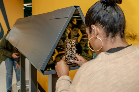 Interactive Exploration Museum of Illusions