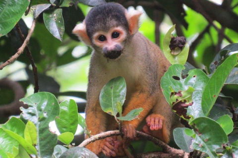 Puerto Maldonado: 2-Day Lake Sandoval Nature Tour