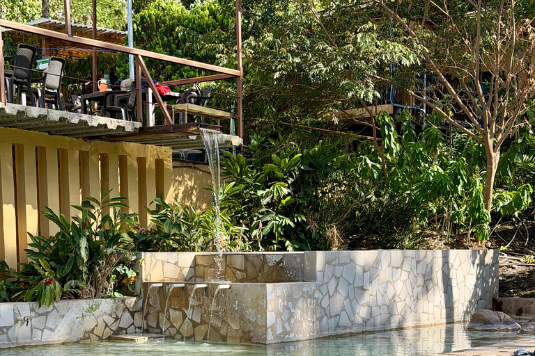 Santa Teresa Hot Springs, Fruit Tasting, & Ataco Tour