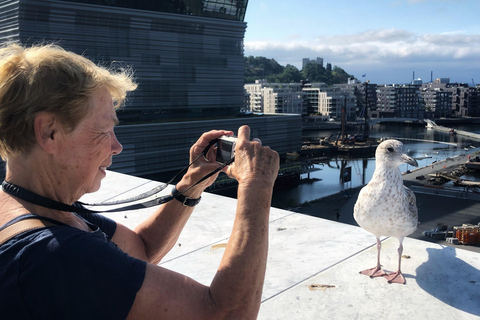 Oslo enthüllt: Private Tour zu Fuß