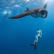 From Bali: Snorkeling at Manta Point Nusa Penida & Land Tour