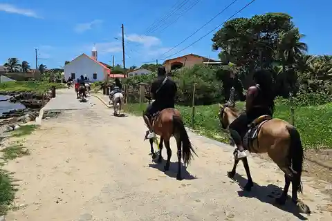 Horseback Ride Shore Excursion and Glass bottom boat Tour