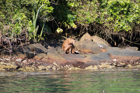 Angra dos Reis: Ilha Grande & Paraty Sailing Tour