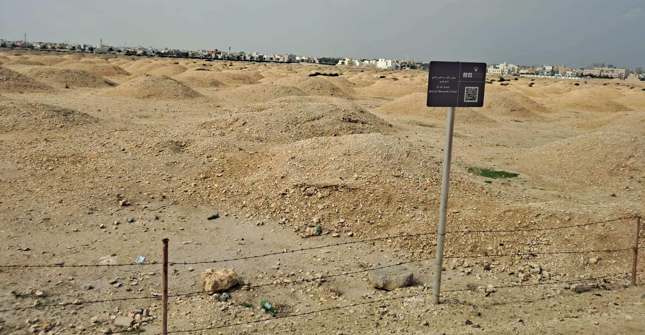 Bahrain: Tree of Life & Desert Heritage Bus Tour photo 5