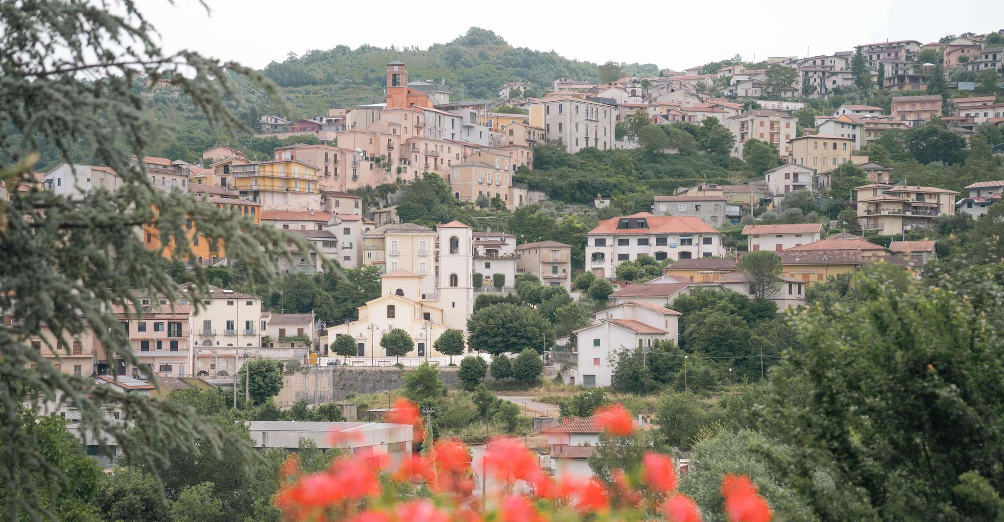 Irpinia: lezione di pizza e tour della cantina con pranzo