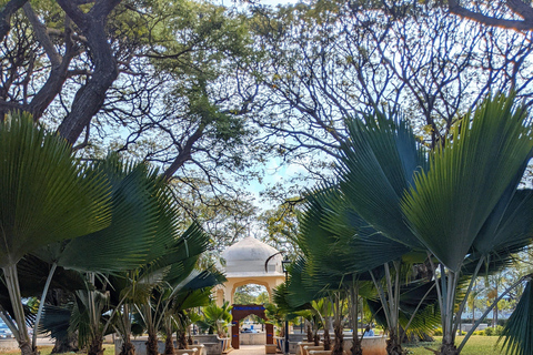 Full Day Package (Prison Island, Stone Town, Spice Tour)