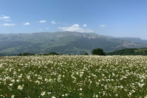 Hiking in Dilijan National Park: From Parz Lake to Goshavank