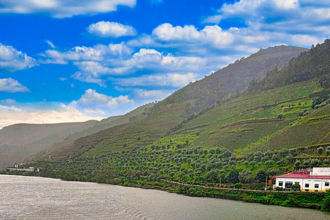 Oporto: Visita a 2 viñedos del valle del Duero con almuerzo y crucero por el río