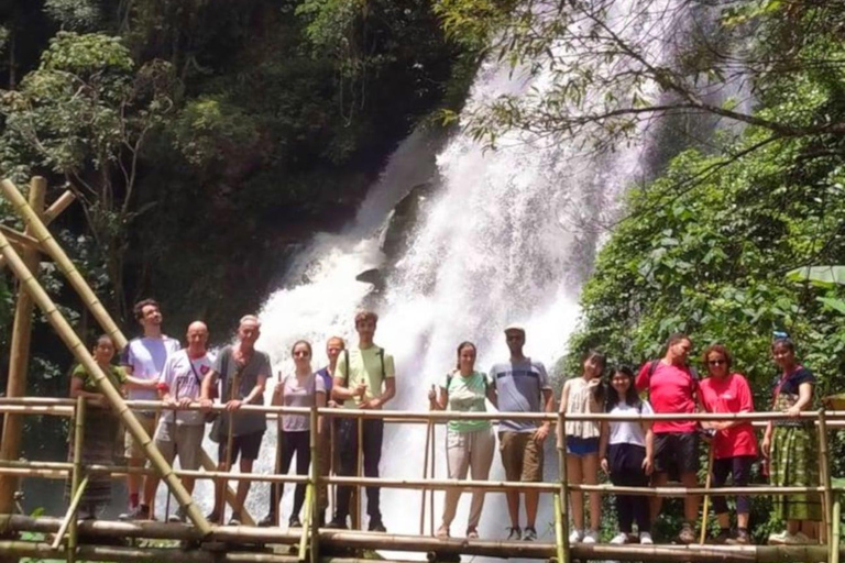 Chiang Mai: Doi Inthanon National Park & Elefantenschutzgebiet