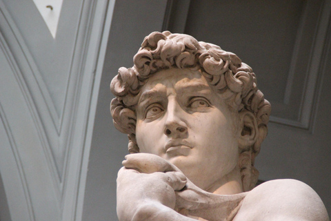 Florence: Accademia Gallery Timed Entrance Small Group Tour