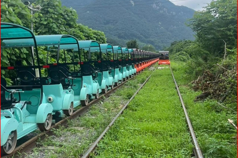A partir de Seul: Begonia Bird Park, Rail Bike e Garden TourDongdaemun, 9h