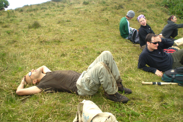 1-daags wandelavontuur in Mount Bisoke