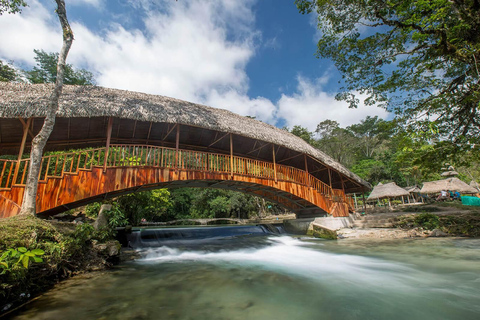 Paraíso da vida selvagem - Reserva Alto Mayo de Tarapoto