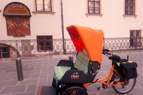 RAXI (Electric Rickshaw) Vienna 90 minutes tour