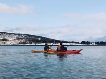 2-Hour Small-Group Fjord Kayak