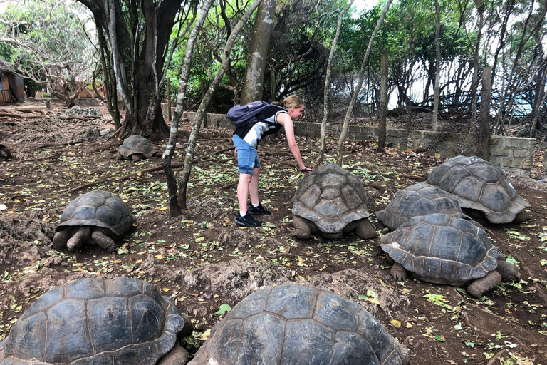 Zanzibar : visite de l'île-prison, de Stone Town et de la ferme aux épicesVisite privée : Île-prison, Stone Town et ferme d'épices