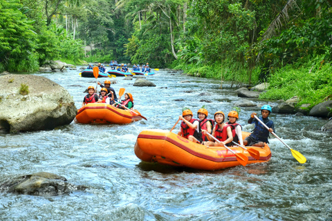 Bali: Telaga Waja White Water River Guided Rafting & Lunch White Water Rafting Trip with Meeting Point