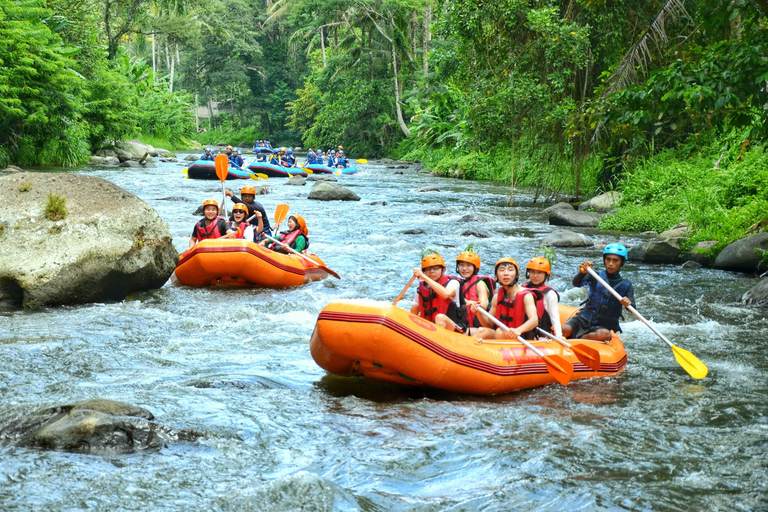 Bali: Telaga Waja White Water River Guided Rafting & Lunch White Water Rafting Trip with Meeting Point