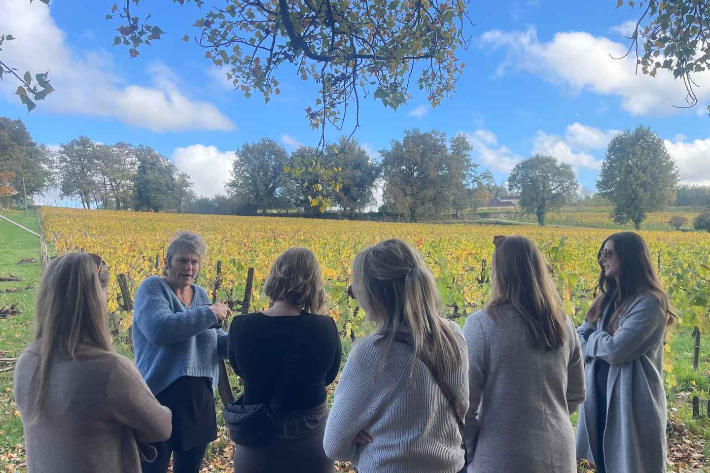 Vínsmökkun í Saint-Émilion: Hálfsdagsferð frá Bordeaux