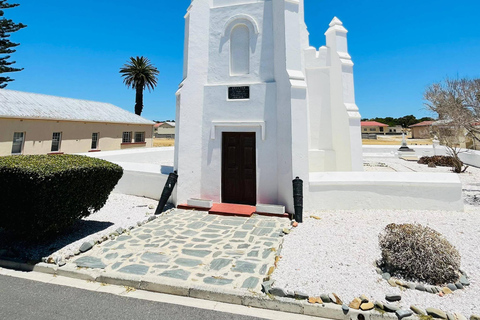Cape Town: Robben Island Ticket with Ferry & Transfers