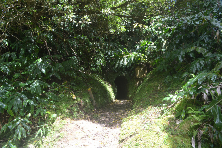 Sao Miguel Hike to Janela do Inferno and Lagoa do Fogo