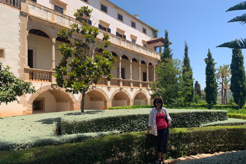 Embrace the enchantment of Mallorca&#039;s almond blossom seasonMallorca&#039;s almond blossom season