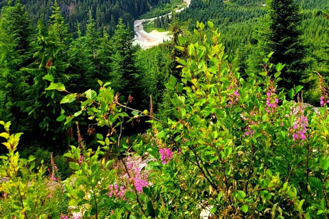 Parco Provinciale di Garibaldi: Lago Watersprite/ Escursione di un giornoEscursione di un giorno al lago Watersprite