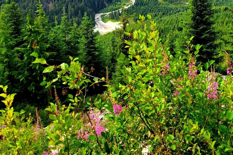 Parco Provinciale di Garibaldi: Lago Watersprite/ Escursione di un giornoEscursione di un giorno al lago Watersprite