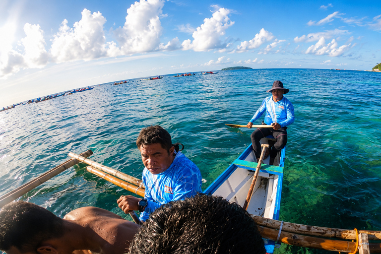 Cebu: Oslob Whale Shark Swimming Experience with Transfer