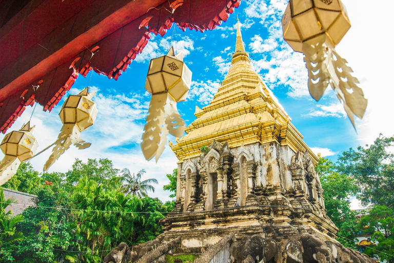 Chiang Mai: Temples & Old City Hidden Gems with local guide Private Tour (with transfer)
