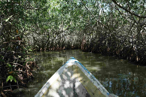 Shared Cartagena Mud Volcano + Mangrove Tour including lunch