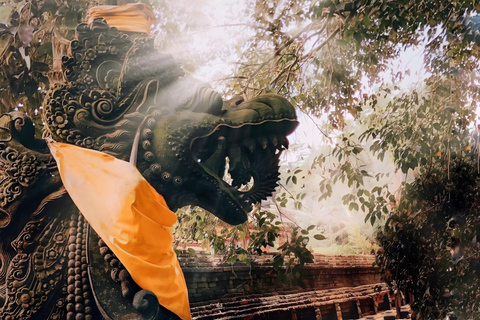 Ubud: Tour privato di templi, cascate e terrazze di risoTour di mezza giornata privato di Ubud 5-6 ore