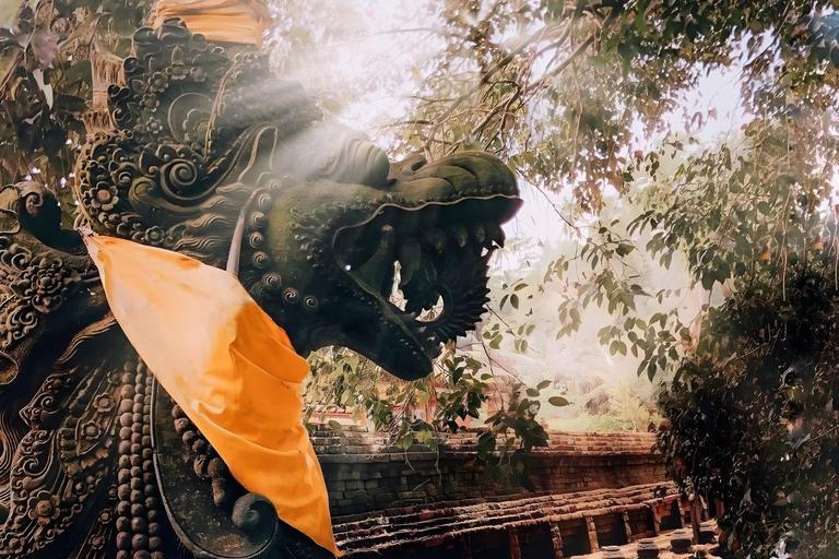 Ubud: Tour privato di templi, cascate e terrazze di risoTour di mezza giornata privato di Ubud 5-6 ore