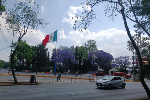 Biking tour: From Chapultepec to Downtown