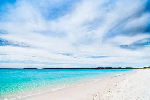 Från Sydney: Jervis Bay dagstur och guidad kryssning med delfinskådning
